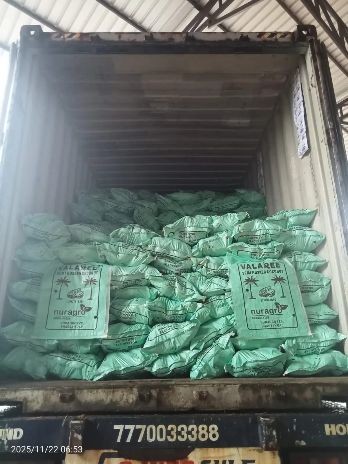 Cocopeat: sorting & processing